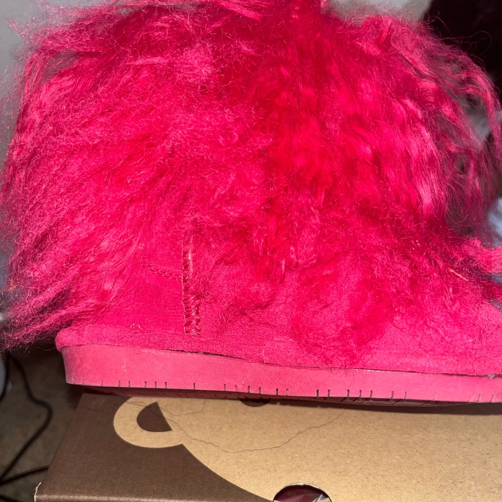 Bearpaw
